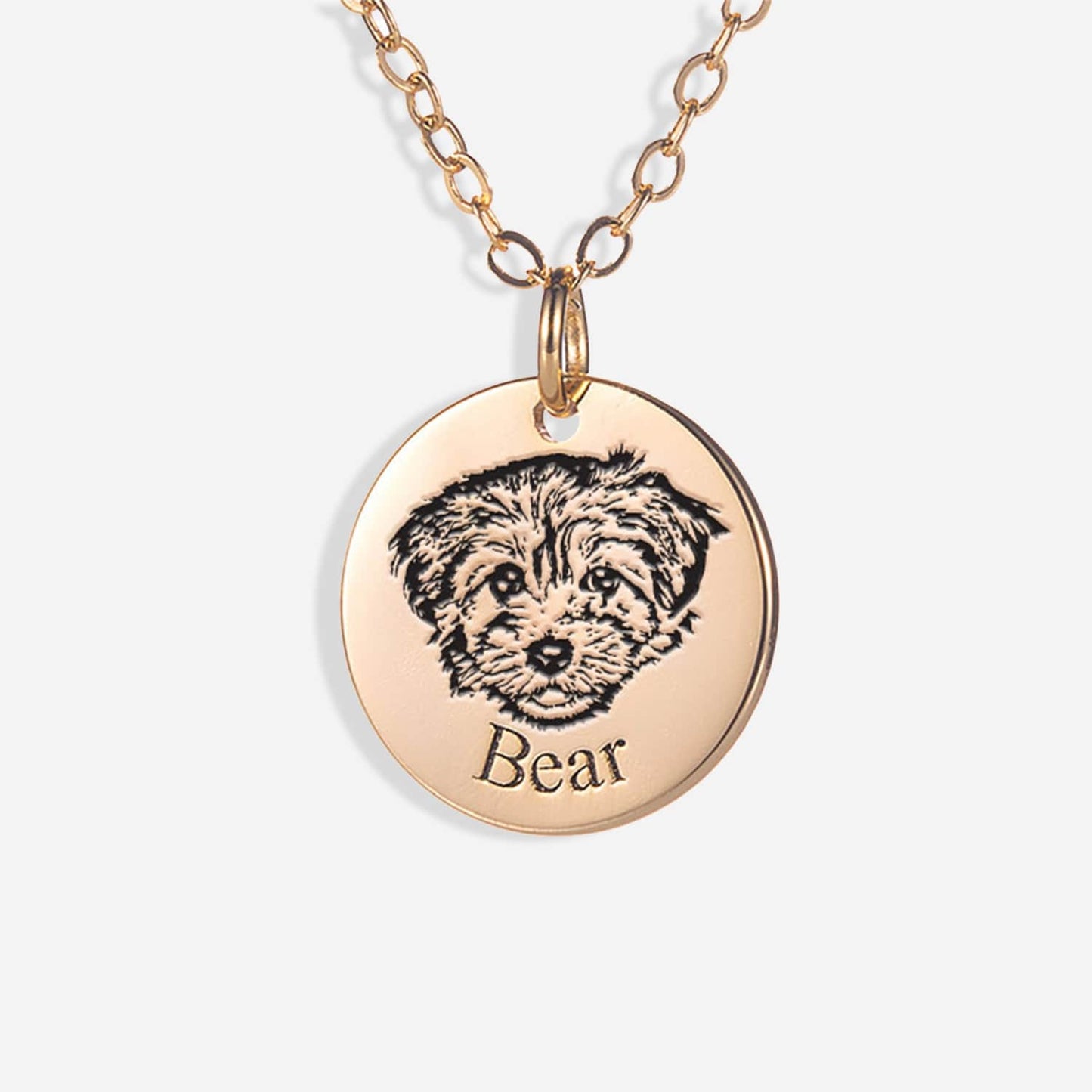 Personalized necklace of your pet